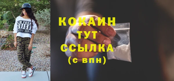 прущая мука Вяземский