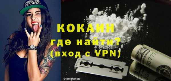 прущая мука Вяземский