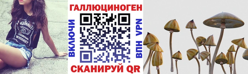 Псилоцибиновые грибы Psilocybe  Купить закладки  Нижняя Салда 